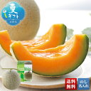 お中元 早割 6/1から100円OFF 御中元 夏ギフト ギフト プレゼント 暑中見舞い 2025 送料無料 北海道メロン(特大玉)「Q10-7B」フルーツ 果...