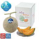 お中元 早割 御中元 夏ギフト ギフト プレゼント 暑中見舞い 2025 送料無料 富良野メロン(特大玉)「Q10-8Y」フルーツ 果物 メロン 富良野メロン ...