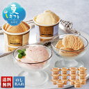 お中元 早割 6/1から100円OFF 御中元 夏ギフト ギフト プレゼント 暑中見舞い 2025 送料無料 T.D.Early リッチアイス「RIT-14」ス...