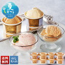 お中元 早割 6/1から100円OFF 御中元 夏ギフト ギフト プレゼント 暑中見舞い 2025 送料無料 T.D.Early リッチアイス「RIT-8」スイ...