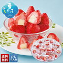 お中元 早割 6/1から100円OFF 御中元 夏ギフト ギフト プレゼント 暑中見舞い 2025 送料無料 苺アイス詰合せ「S-50D」スイーツ アイス アイ...