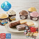 お中元 早割 6/1から100円OFF 御中元 夏ギフト ギフト プレゼント 暑中見舞い 2025 送料無料 「レディーボーデン」&「ガーナ」アイスセット「S0...