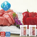 お中元 早割 6/1から100円OFF 御中元 夏ギフト ギフト プレゼント 暑中見舞い 2025 送料無料 築地ホクエイ 天然本まぐろ切落し「T3-2」海鮮 ...