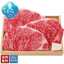 お中元 早割 6/1から100円OFF 御中元 夏ギフト ギフト プレゼント 暑中見舞い 2025 送料無料 飛騨牛 サーロインステーキ用「T5-3」肉 牛肉 ...