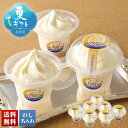 お中元 早割 6/1から100円OFF 御中元 夏ギフト ギフト プレゼント 暑中見舞い 2025 送料無料 「橋本牧場」十勝プレミアムソフト「THBPS-7」...