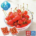 お中元 早割 御中元 夏ギフト ギフト プレゼント 暑中見舞い 2025 送料無料 北海道仁木産 さくらんぼ「Y15-12」フルーツ 果物 北海道 仁木産 さく...