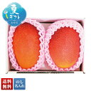 お中元 早割 御中元 夏ギフト ギフト プレゼント 暑中見舞い 2025 送料無料 宮崎県産 完熟マンゴー「Y15-9」フルーツ 果物 宮崎県産 マンゴー 贈り...