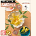 送料無料 カタログギフト 奏 風花コース「KNA」|贈り物 おくりもの お返し お礼 御礼 お祝い 御祝い 御祝 内祝 内祝い 結婚 御結婚 結婚内祝 出産 御...