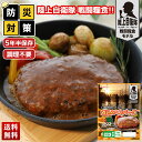 非常食 防災食 煮込みハンバーグ 保存期間5年半! 長期保存 調理不要 保存食 非常食 防災食品 災害用食品 セット 115g×20 送料無料 「B8-7」