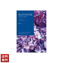 ブロッサム アジサイ カタログギフト 約845点/332ページ 詰合せ セット 贈り物 送料無料 ギフト プレゼント 「BF」