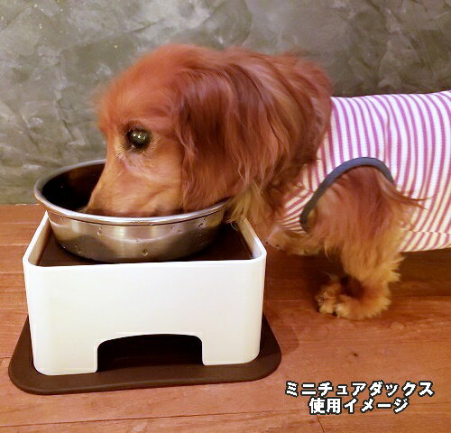 わんテーブル ハリオ 食器台 小型犬・中型犬用 テーブル スタンド 高さ 食べやすい ダックス トイプー 中型犬 犬用 食事 シニア ハイシニア 老犬 ダックスフンド 犬 犬用 台座 いぬ フード 高…