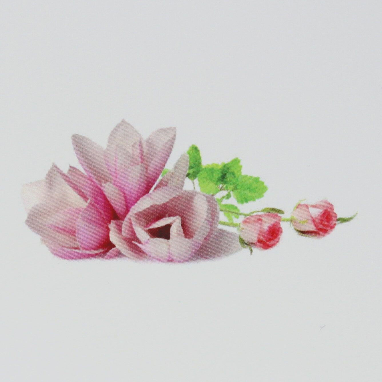 【 お試し 】ランプベルジェオイル 【 マグノリア 】100ml【A1535】lampberger メゾンベルジェ maison ..