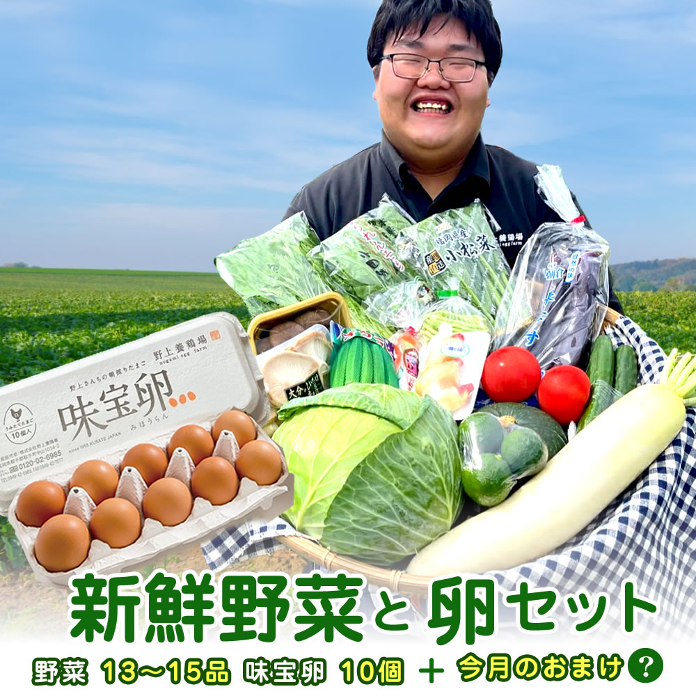 【送料無料】 新鮮野菜セット 旬の野菜詰め合わせ！たまご10個入りのおまけ付き（5...