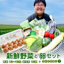 【送料無料】 新鮮野菜セット 旬の野菜詰め合わせ！たまご10個入りのおまけ付き（4月発送の方限定で卵かけ醤油のおまけつき）