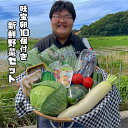 【送料無料】 新鮮野菜セット 旬の野菜詰め合わせ！たまご10個入りのおまけ付き（4月発送の方限定でカステラの切り落としのおまけつき）