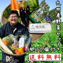 【送料無料】九州産の野菜セット たまごのおまけ付き