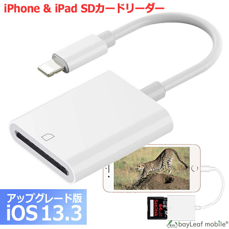 【2個以上ご購入で送料198円→0円！】iPhone SDカードリーダー SDカード ライター バックアップ 変換 写真 画像 転送 共有 変換アダプタ リーダー