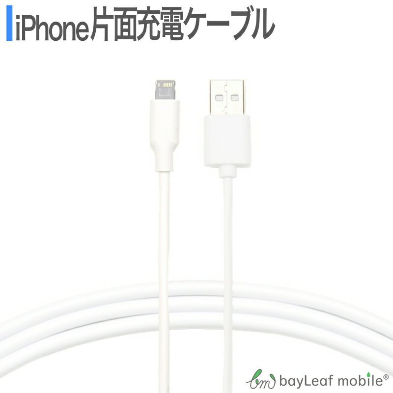 2İʾ头198ߢ0ߡiPhone SE3(3) iPhone8 8Plus iPhone7 iPhoneSE iPhone6s USB ť֥  USB֥ 1m 100cm Ŵ ǡ̿ ե ۥ
