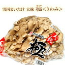 【まだ間に合う! 母の日 5%OFFクーポン】 舞茸 極(きわみ) 新潟県産 850g 雪国まいたけ 大株 無農薬化学肥料 不使用 ギフト きのこ キノコ まい...