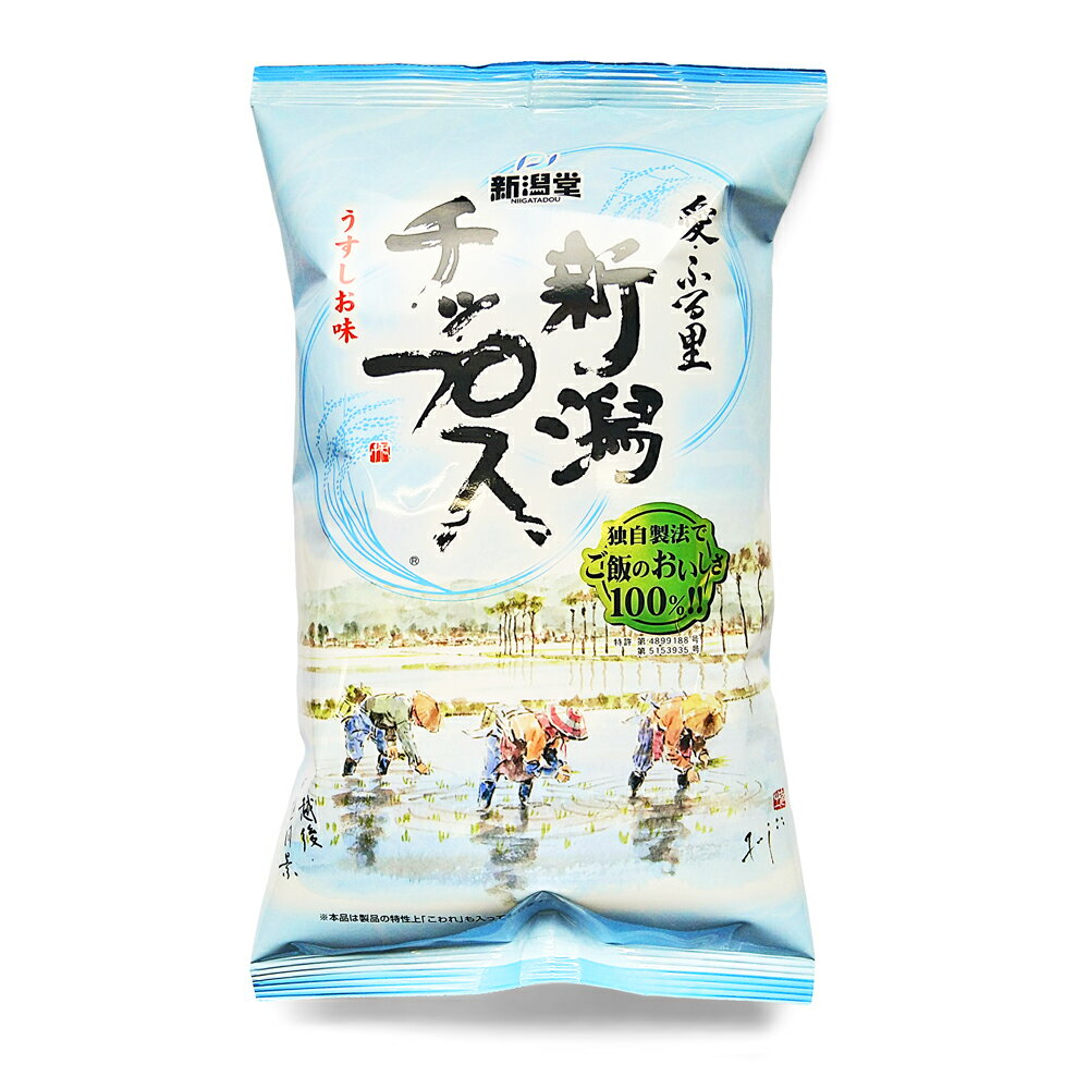 新潟堂 新潟チップス うすしお味 100g 新潟 お土産 お取り寄せ 米菓 お米 チップス