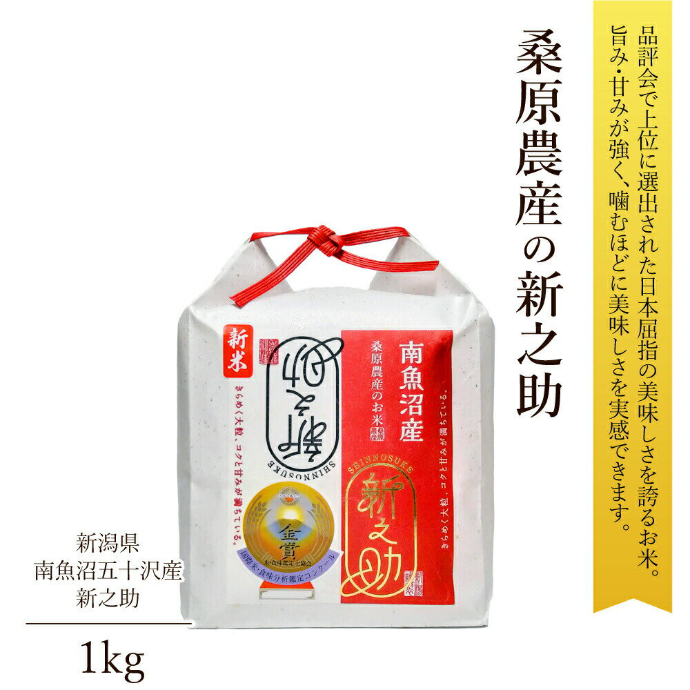 父の日 プレゼント 米 1kg 新之助 南魚沼産 令和5年産 桑原農産 超希少 桑原農産のお米 世界最高米 ギフト