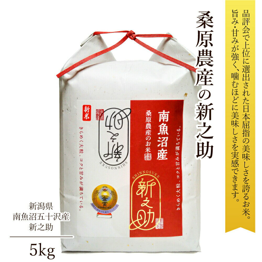 父の日 プレゼント 米 5kg 新之助 南