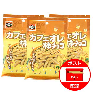 浪花屋製菓 カフェオレ 柿チョコ 65g×3袋 柿の種 チョコ 新潟 お土産 お取り寄せ お試し ポイント消化