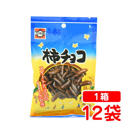 浪花屋製菓 柿チョコ 65g×12袋 柿の種 チョコ 新潟 お土産 お取り寄せ お歳暮