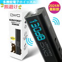 【TimeSales★P10倍】電子ホイッスル 