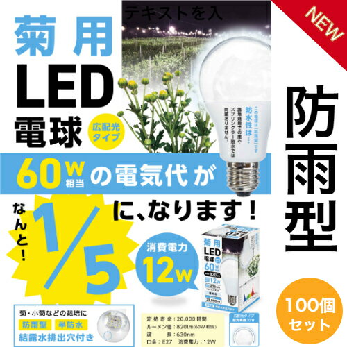 電照菊用LED電球12W 100個セット 1個445円 口金E26 菊いちご生産者様用 60W相当 花芽分化抑制用