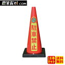 Dコーン 駐車禁止 DCR-6(10本セット)重量コーン【安全興業】