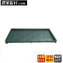 稚苗用育苗箱 56穴 (40個セット)【安全興業】