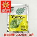 アウトレット 当年切れ品 特別価格【殺菌剤】ジーファイン水和剤 250g