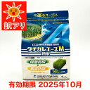 アウトレット 当年切れ品 特別価格【水稲用殺菌剤】タチガレエースM粉剤 1kg