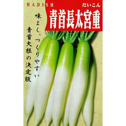 大根 種 【青首長太宮重】 20ml | 農業屋.com