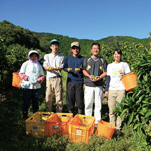 紀州熊野みかん 3kg