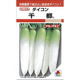 大根 種 【 千都 】 種子 2dl | 農業屋.com