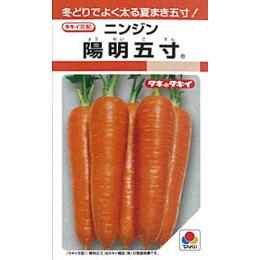 にんじん 種 【 陽明五寸 】 種子 L1万粒 | 農業屋.com