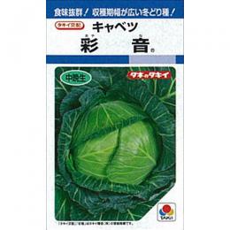 キャベツ 種 【 彩音 】 種子 L5千粒 | 農業屋.com