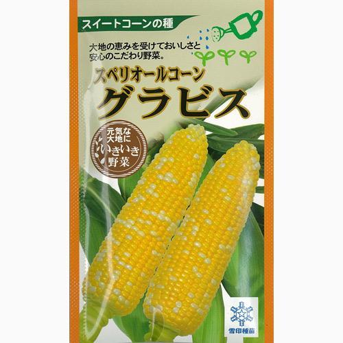 とうもろこし 種 【グラビス】 約200粒 | 農業屋.com