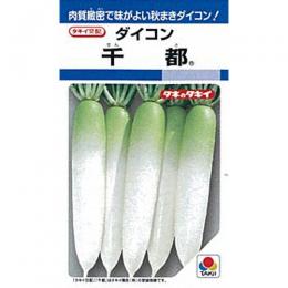 大根 種 【 千都 】 小袋(DF 9ml) ( 大根の種 ) | 農業屋.com