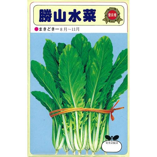 水菜 種 【 勝山水菜 】 種子 小袋（約50ml） | 農業屋.com