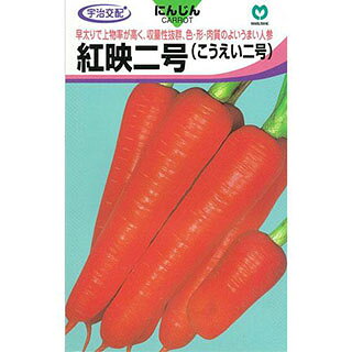 ニンジン 種 【 紅映二号 】 小袋（6ml） ( ニンジンの種 ) | 農業屋.com