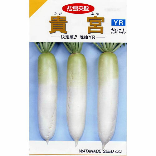 大根 エベレスト[大根] - e-種や｜国内最大級の野菜種・花種・苗・農業資材