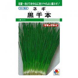 ネギ 種 【 黒千本葱 】 種子 1L缶 | 農業屋.com ネギ 種 【 黒千本葱 】 種子 1L缶 | 農業屋.com