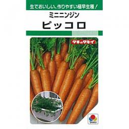 にんじん 種 【 ピッコロ 】 種子 小袋（約1dl） | 農業屋.com