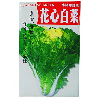 白菜 種 【花芯白菜】 8ml | 農業屋.com
