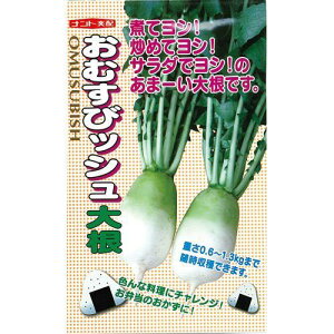 ミニ大根 種 【 おむすびッシュ 】 種子 小袋（約3ml） <br>（ 種 野菜 野菜種子 野菜種 ）