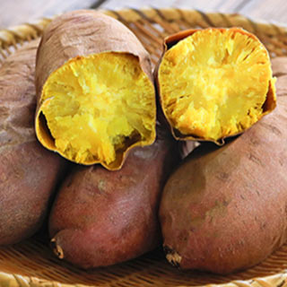 さつまいも苗 【 栗かぐや 通常苗 】25本 【予約販売 くりかぐや 芋づる さつまい...