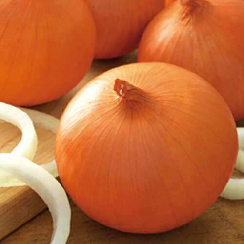 玉ねぎ苗 【予約】 【 晩生 ケルたま 】 約50本 [ たまねぎ苗 タマネギ苗 玉葱苗 販売 野菜苗 家庭菜園 ]のサムネイル